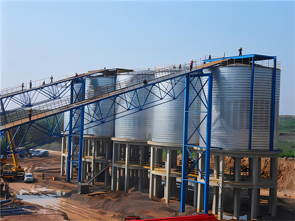 浩口原种场螺旋钢板仓