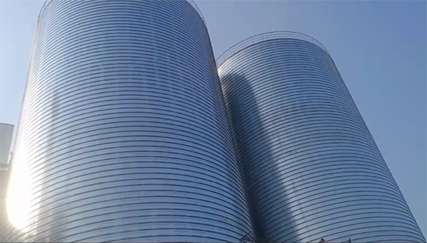 浩口原种场2座混凝土高架卷板仓