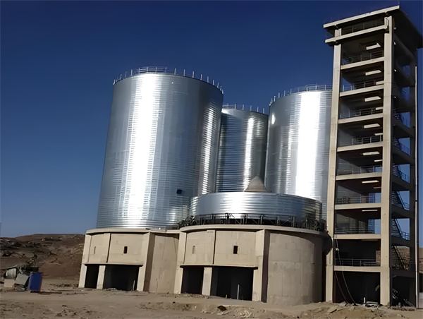 浩口原种场球团仓